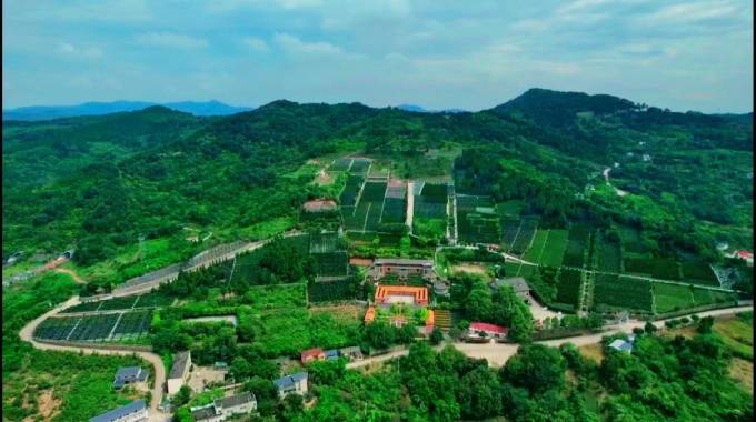 燃灯寺公墓园区实景一