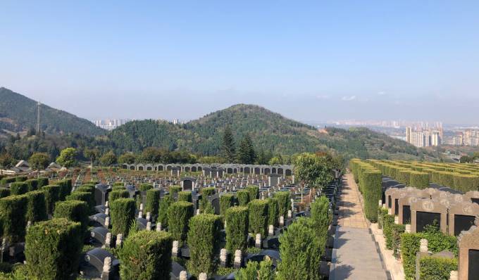 燃灯寺公墓园区实景二