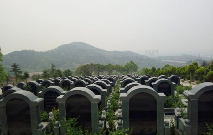 燃灯寺公墓园区实景四