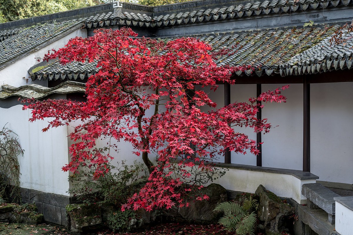 亲人离世后第一年中秋节怎么过?添碗筷、供月饼与传统祭念讲究配图
